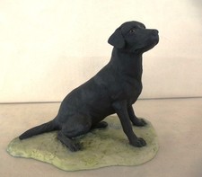 Border Fine Arts Black Labrador