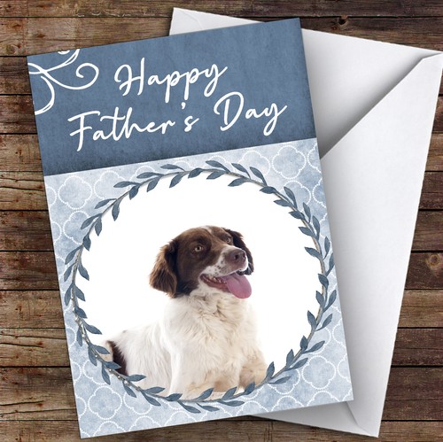 French spaniel dog traditional - french,
