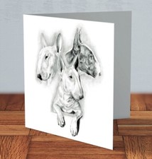 English Bull Terrier dog breed