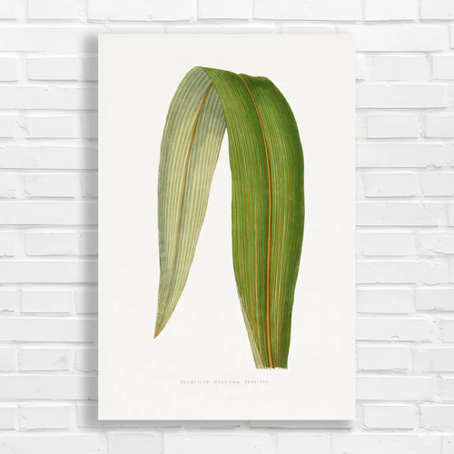 Stunning botanical leaf canvas - leaf,