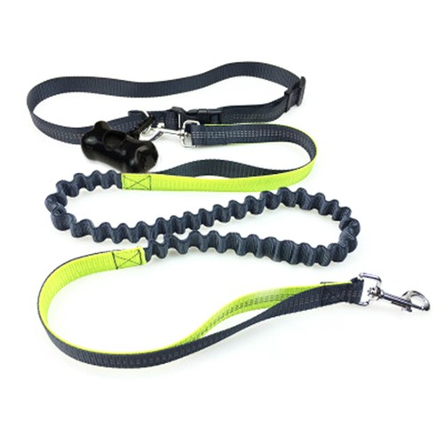Training rope dog - training, pet