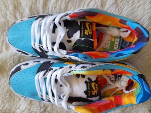 Men nike dunk - sb, &