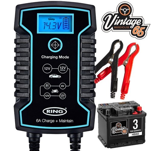 Battery trickle charger for - battery,