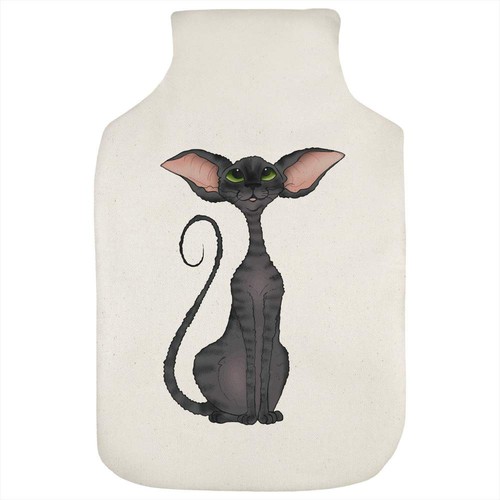 Devon rex cat hot water - 'devon,