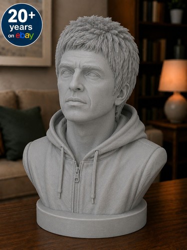 Noel gallagher inspired bust - gallagher,