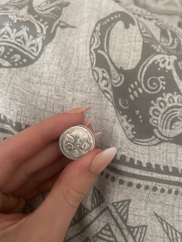 Rare coin hedgehog - coin,