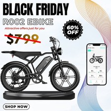 TST 20inch Electric Bicycle