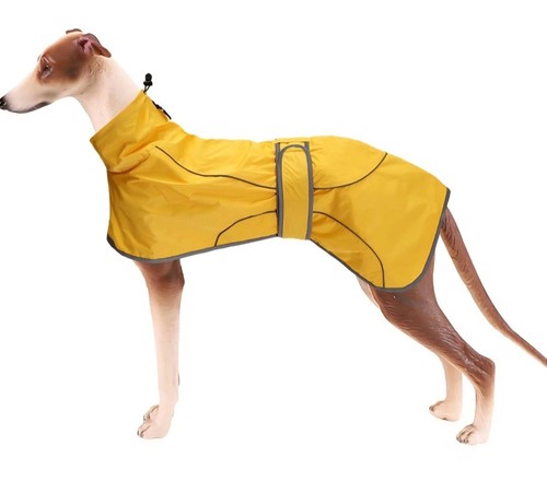 2xl yellow lightweight - 2xl,