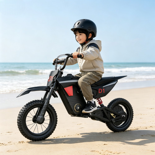 Kiddowe 300w wheel electric - wheel,