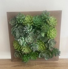 Next Artificial Succulent Wall Art Faux Plants Hanging Home Decor
