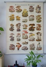 VINTAGE | SCHOOL WALL MAP