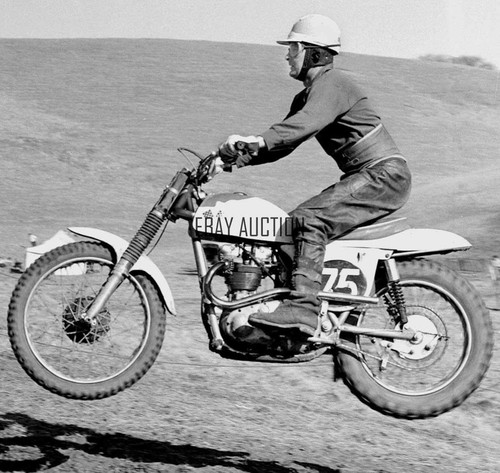 Metisse triumph with don - triumph,