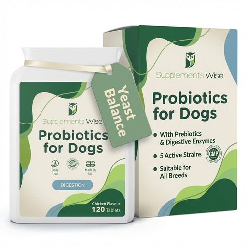 Probiotics for dogs with itchy - probiotics,