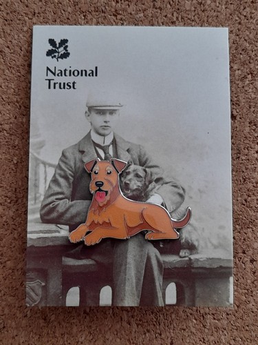 National trust attingham - national,