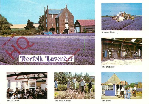 Picture postcard norfolk - picture, postcard__norfolk