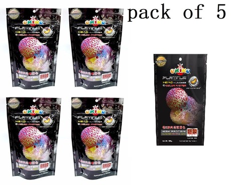 Okiko platinum flowerhorn - 5, x
