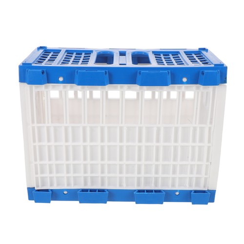 Pigeon release cage bird - ,