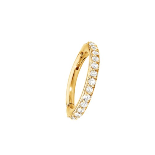 Gold segment ring - ring, clicker