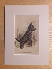 Lucy Dawson (Mac), Artist  -