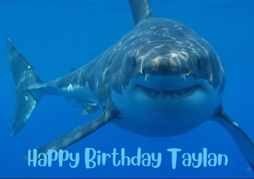 Personalised shark card - shark,