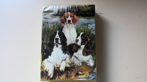 New eng springer - eng., playing