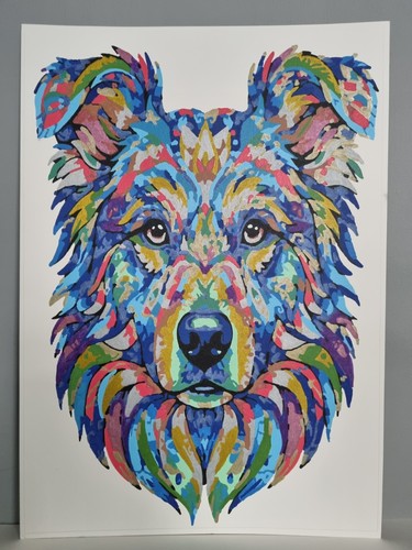 Original border collie art - collie, a3