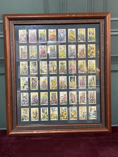 Cigarette cards collectibles - cigarette,