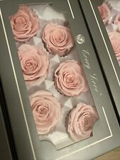 6 PRESERVED SAKURA PINK REAL ROSES ETERNAL INFINITY LAST UPTO 1 YEAR 5/6cm