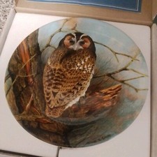 Coalport "Tawny Owl" by