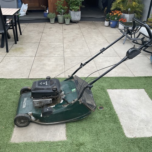 Hayter harrier petrol lawn - petrol,