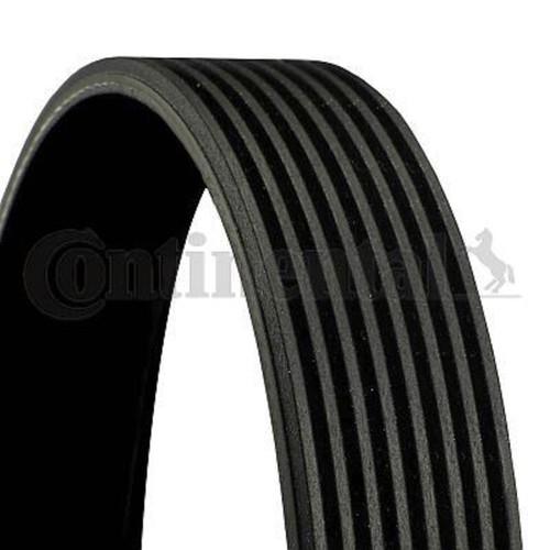 Ribbed belt contitech - v-ribbed,