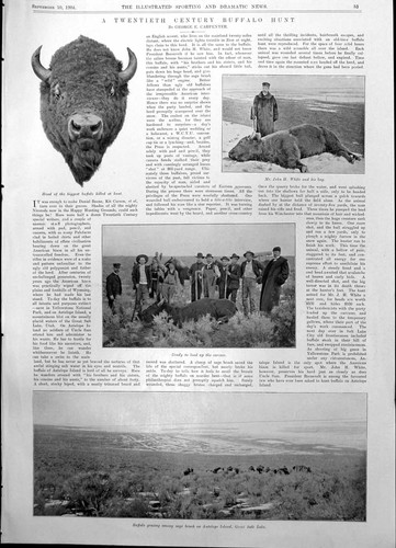 Old twentieth century buffalo - old,