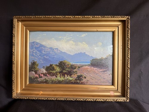 South african impressionist - african,