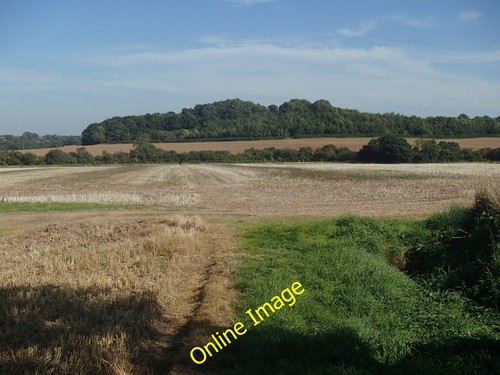 Photo 6x4 footpath hagley - photo, to