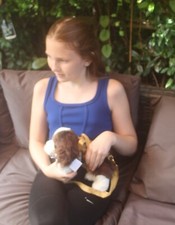 Springer Spaniel shaped hand