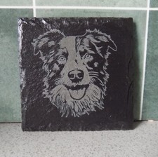 New Engraved 'BORDER COLLIE'