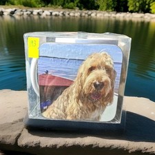 Cup & Coaster Set Of An Otter