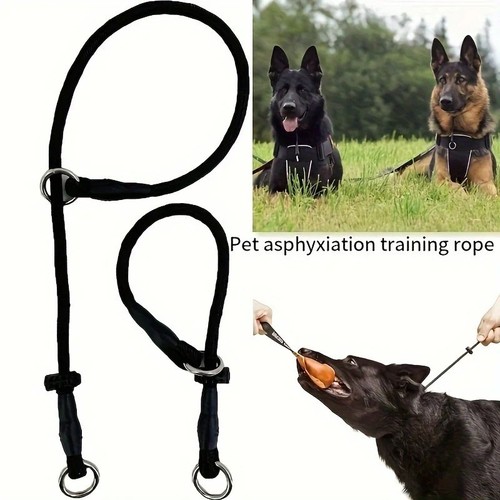 Slip collar for dogs heavy - collar,