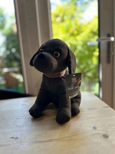 Chocolate labrador dog door - labrador,