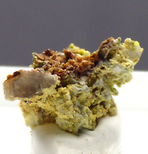Wulfenite Pyromorphite Wheal Mary Ann Menheniot Cornwall UK Mineral Specimen