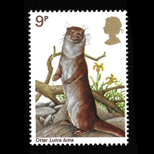 Nature otter 1977 - otter, british