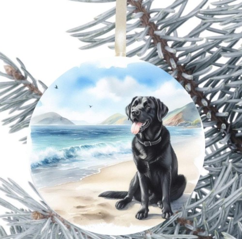 Labrador black dog hanging - labrador,