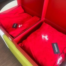 Ferrari bathrobe and bath