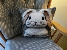 Brand New Soft Plump Rabbit