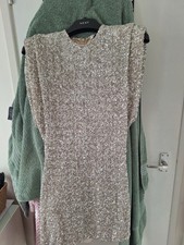 Stunning Zara Sequin Dress
