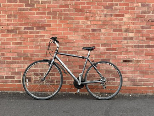 Grey ridgeback hybrid - hybrid, commuter