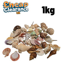 1kg SeaShells Wholesale Bulk Natural Mixed Beach Shell Decor Shells Fast Postage
