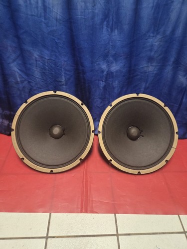 Alnico speaker smooth - alnico,