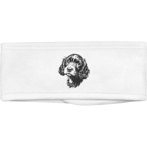 Cocker spaniel puppy beauty - spaniel, puppy'