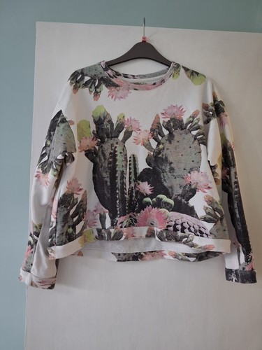Zara cactus jumper sweatshirt - cactus,